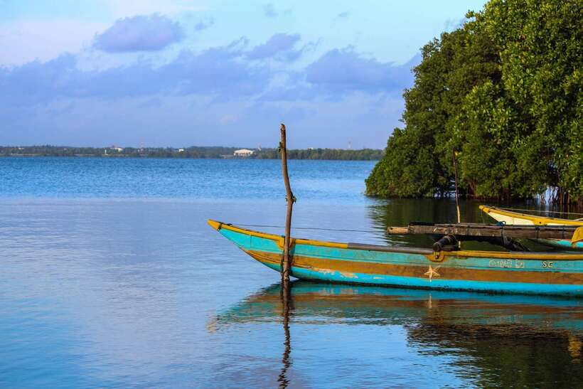 Negombo Lagoon (Mangrove ) Boat Excursion - Dutch Canal break time: why that short stop is worth your attention