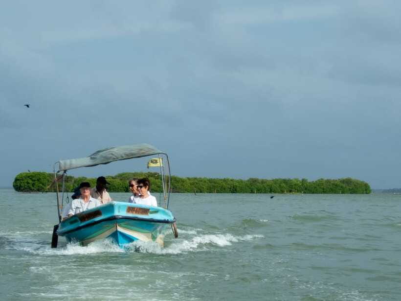 Negombo Lagoon (Mangrove ) Boat Excursion - Negombo Fish Market: a brief stop that adds real context