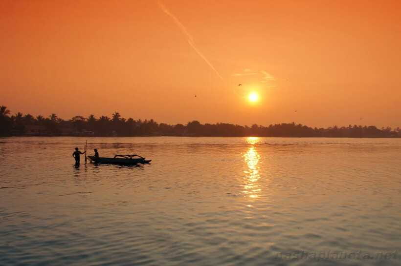 Negombo Lagoon (Mangrove ) Boat Excursion - Food, refreshments, and the seafood lunch part of the day