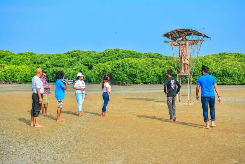 Negombo Lagoon (Mangrove ) Boat Excursion - Getting there from Negombo: tuk-tuk transfer and the Dutch Canal start