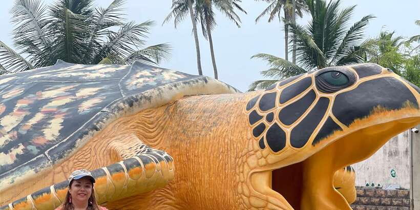 Negombo: Turtle hatchery, River safari, moon stone & Galle - Key highlights worth planning for