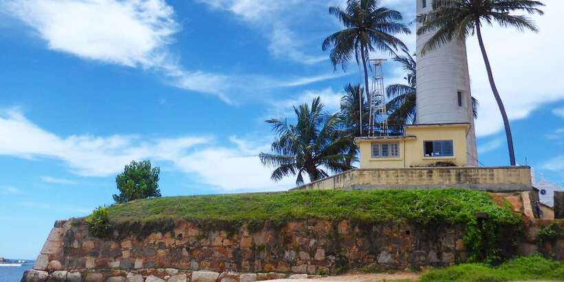 Negombo: Turtle hatchery, River safari, moon stone & Galle - Madu River safari: the calm that people remember