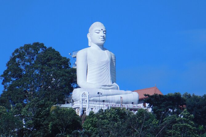 Nice 10 Days Tour in Sri Lanka - Kandy and Dambulla: Temples, Culture, and the Mid-Trip Energy Shift