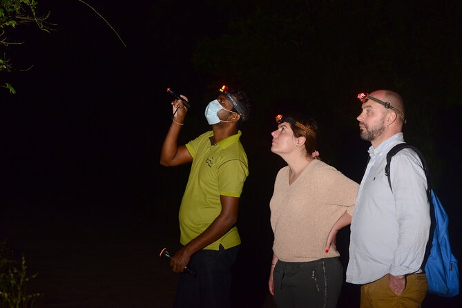 Night Hike to see Elusive & Rare Loris in Sigiriya - Why Pidurangala at night feels different from typical Sigiriya sightseeing