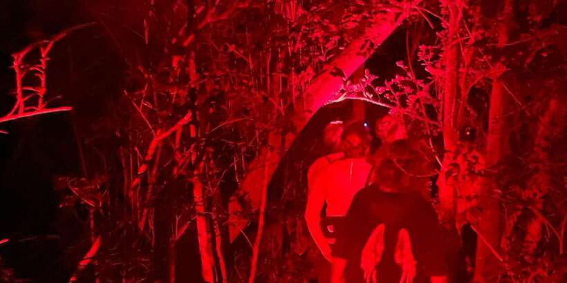 Night Hike to see Elusive & Rare Loris in Sigiriya - Ethics and conservation: what Back of Beyond is aiming for
