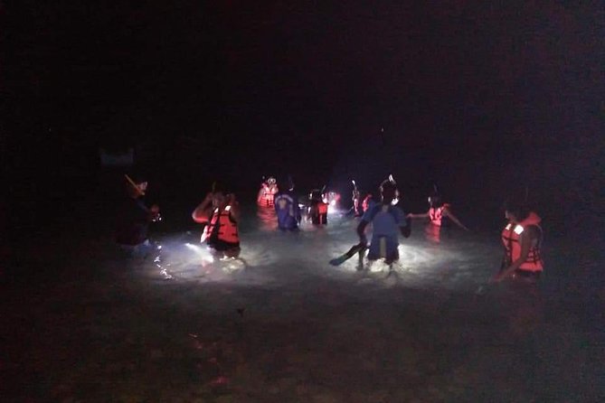 Night Snorkeling Experience in Mirissa - Key highlights (what makes this worth your time)
