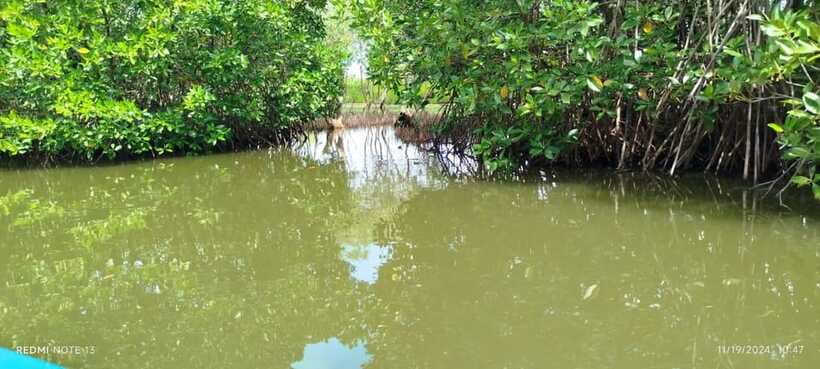 Nilaveli: Lagoon Boat Safari with Mangrove Exploration - Language and communication: when questions may be limited
