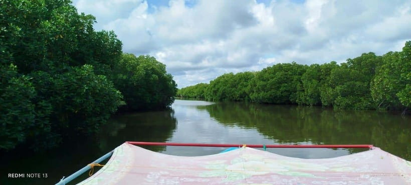 Nilaveli: Lagoon Boat Safari with Mangrove Exploration - Nilaveli lagoon safari: what this trip really is
