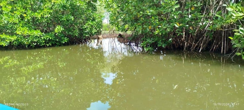 Nilaveli: Lagoon Boat Safari with Mangrove Exploration - Riding Irrakkandi Lagoon: mangroves, brackish water, and the vibe