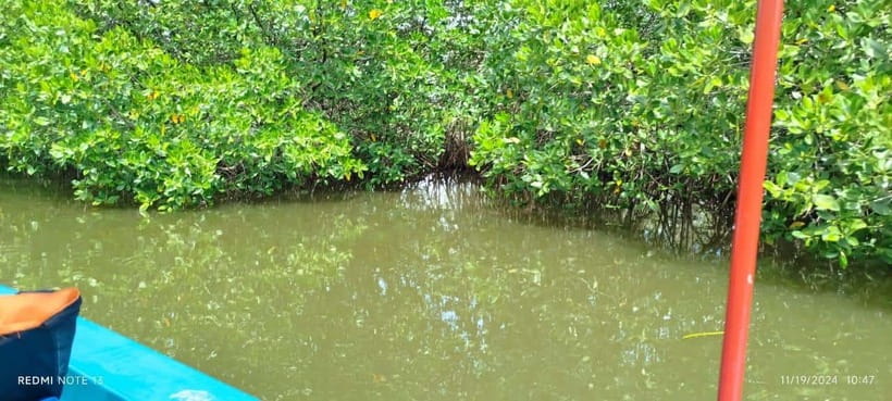 Nilaveli: Lagoon Boat Safari with Mangrove Exploration - Mangrove exploration and the fishing village connection