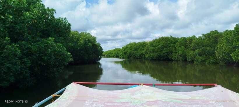 Nilaveli: Lagoon Boat Safari with Mangrove Exploration - Morning vs evening: sunrise calm or sunset views
