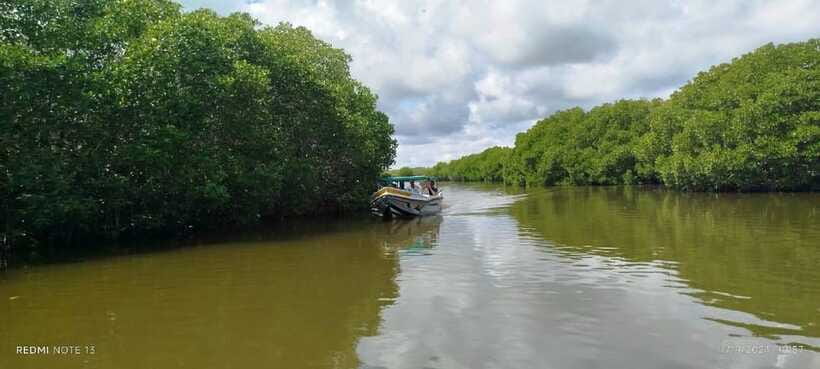 Nilaveli: Lagoon Boat Safari with Mangrove Exploration - What’s included in the $27 price (and what isn’t)
