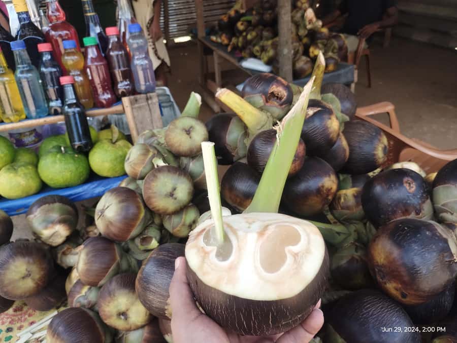 Nilaveli: Trinco City tour by Tuk Tuk - Uppuveli Beach: give your day a reset