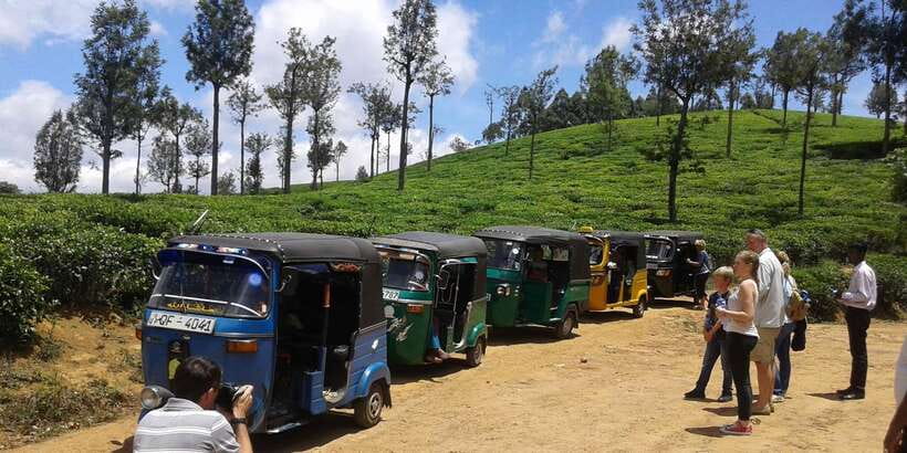 Nuwara Eliya: All-Inclusive Ella Sightseeing Private Tour - Optional Flying Ravana Zipline or Ravana Pool Club: pick the kind of adventure you want