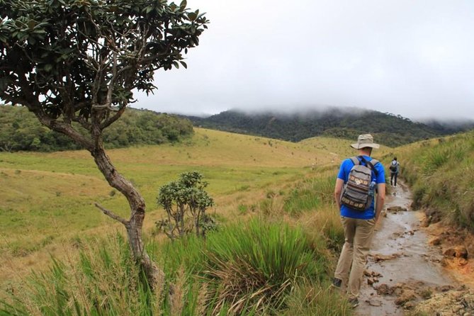 Nuwara Eliya: All Inclusive Horton Plains & Tea Plucking Day Trip - Key points to know before you go