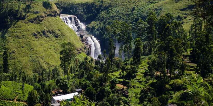 Nuwara Eliya: All-Inclusive Private Sightseeing Day Tour - Price and Value: Why $50 Can Make Sense for a 12-Hour Private Day