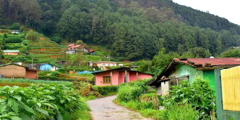 Nuwara Eliya: All-Inclusive Private Sightseeing Day Tour - What to Bring (and What to Wear) So the Day Feels Easy