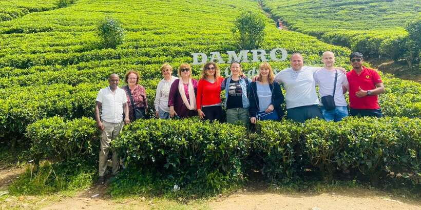 Nuwara Eliya Day Tour from Kandy (Private Tour) - From Kandy to the Tea Hills: How the Day Runs