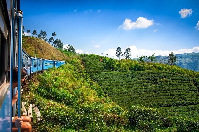 Nuwara Eliya from Kandy by Train - From Nanu Oya to Nuwara Eliya: a walking window in tea country