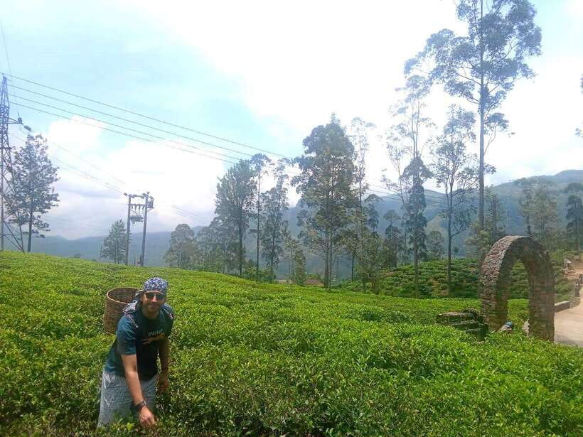 Nuwara Eliya Full day: 5Waterfalls, 2Tea Test & pick by TUK - Timing, pickup, and what to pack for an 8-hour day
