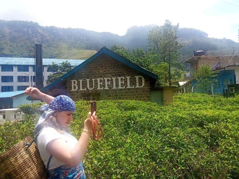 Nuwara Eliya Full day: 5Waterfalls, 2Tea Test & pick by TUK - Price and value: is $47 per person a fair deal?