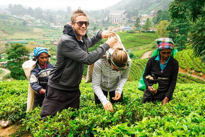 Nuwara Eliya Highlands from Kandy - Key highlights worth planning around