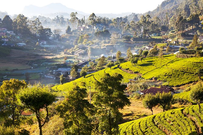Nuwara Eliya Highlands from Kandy - Gregory Lake: the British-built pause with included entry