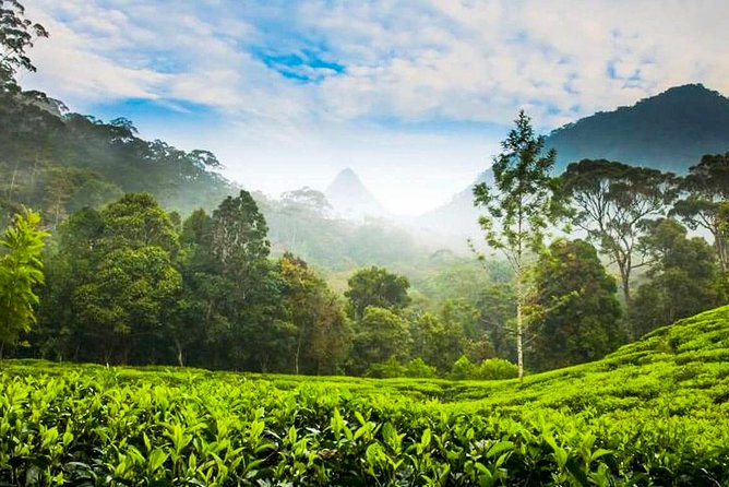 Nuwara Eliya Highlands from Kandy - Ramboda Waterfall: short walk, tall payoff