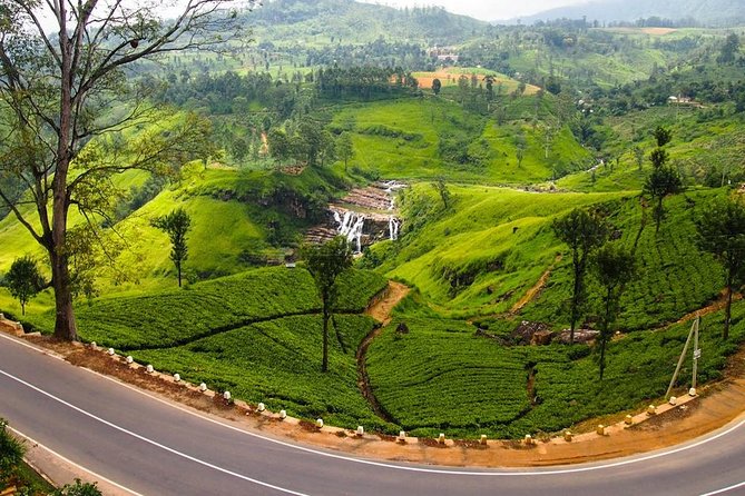 Nuwara Eliya journey by Train and car (2 Days with 01 Night) - Oak Ray Wood Carvings: Craft You Can Actually See Up Close