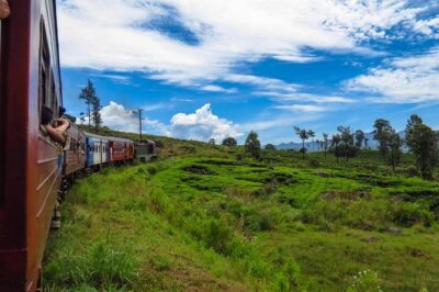 Nuwara Eliya journey by Train and car (2 Days with 01 Night) - Kandy’s Sacred Tooth Relic: The Atmosphere Is the Point