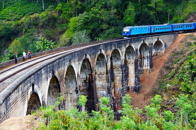Nuwara Eliya journey by Train and car (2 Days with 01 Night) - Tea Country Stop: Damro Labookellie and the Real Tea Making Process