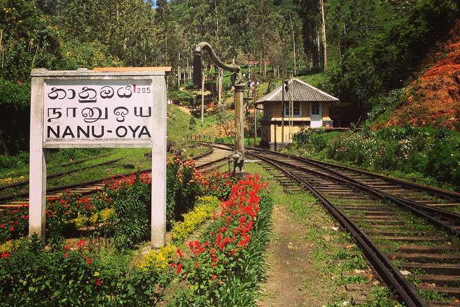 Nuwara Eliya journey by Train and car (2 Days with 01 Night) - Gregory Lake: The Easy, Scenic Walk in Nuwara Eliya