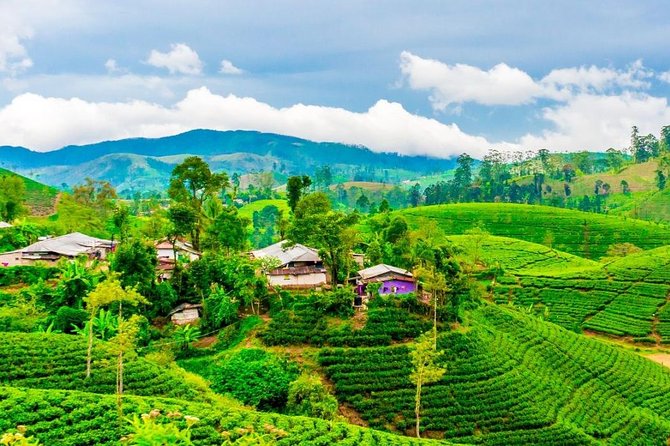 Nuwara Eliya journey by Train and car (2 Days with 01 Night) - The Train Day You Actually Want: Badulla to Kandy (08:30 to 15:00)