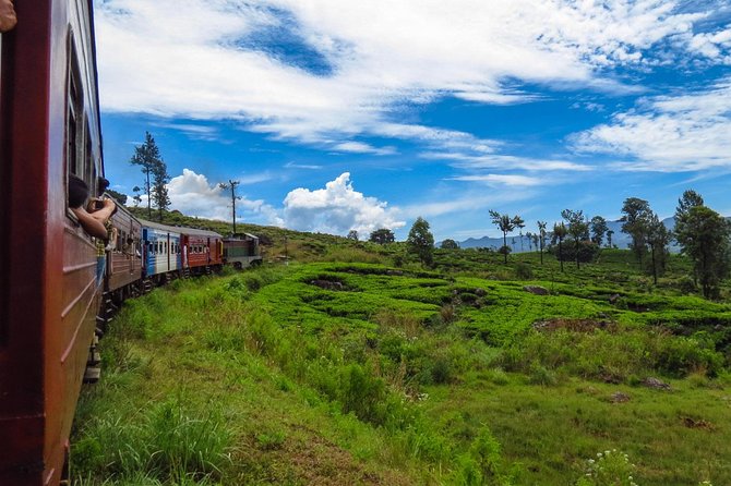 Nuwara Eliya journey by Train and car (2 Days with 01 Night) - Kandy’s Sacred Tooth Relic: The Atmosphere Is the Point