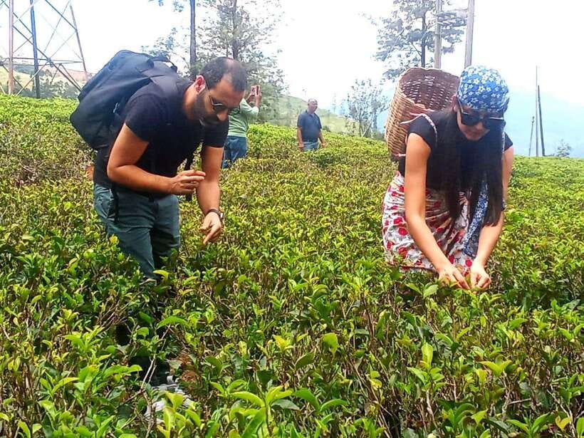 Nuwara Eliya: Tea Factory and Pickle Waterfalls Tuk Tuk Tour - Nuwara Eliya Town Time: A Quick Reset in the City Itself