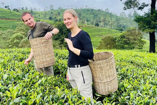 Nuwara Eliya Tours - Bomburuella and Ramboda waterfalls: mist, breaks, and timing