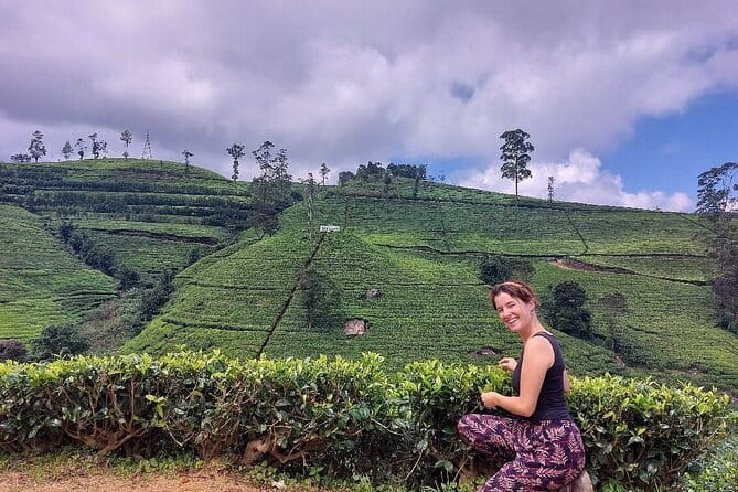 Nuwara Eliya Tours - Damro tea factory: seeing tea move from crop to product