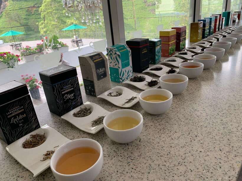 Nuwara Eliya Tuk-Tuk Tour Tea Picking,Tasting &Ramboda Falls - Puna Ella Falls and extra viewpoints: how the day stays scenic between landmarks