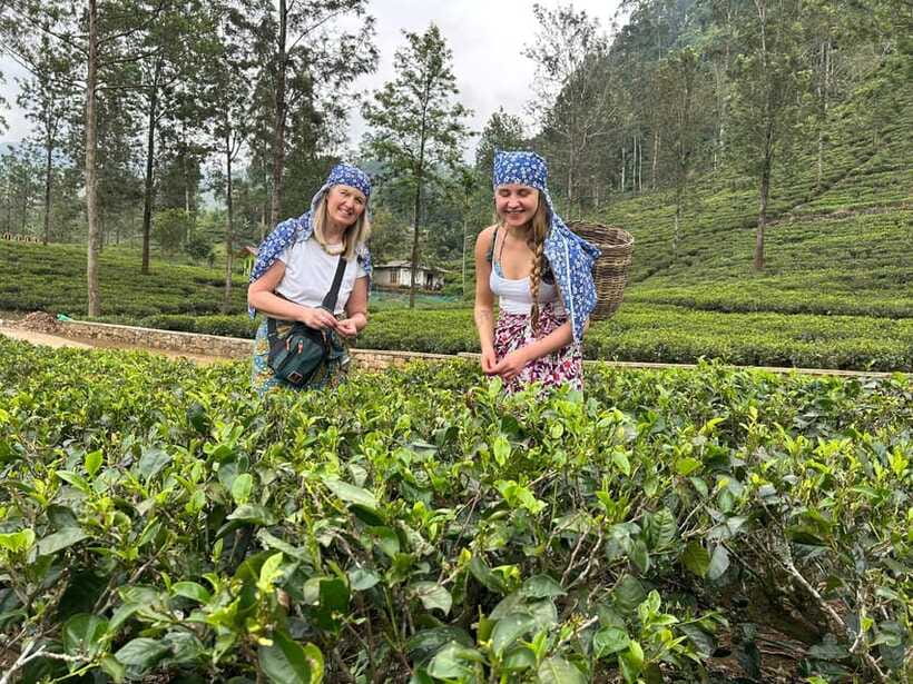 Nuwara Eliya Tuk-Tuk Tour Tea Picking,Tasting &Ramboda Falls - Who this tour fits best (and who might want something else)