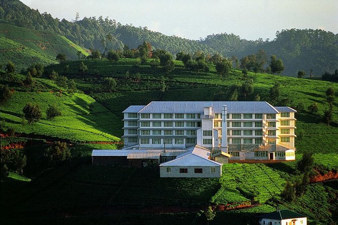 Nuwaraeliya Day Tour & Kithulgala Water Rafting from Kandy,Colombo or Ella - Private Transport That Actually Helps: From Pickup to WiFi