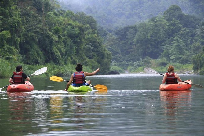 Nuwaraeliya Day Tour & Kithulgala Water Rafting from Kandy,Colombo or Ella - Timing and What to Expect From a 7 to 11 Hour Day