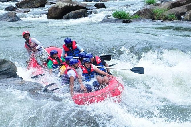 Nuwaraeliya Day Tour & Kithulgala Water Rafting from Kandy,Colombo or Ella - Who Should Book This (and Who Might Prefer Another Plan)