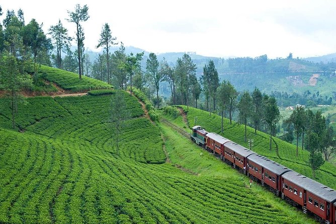 Nuwaraeliya Day Tour & Kithulgala Water Rafting from Kandy,Colombo or Ella - St. Clair’s Falls: Little Niagara in Plain Sight