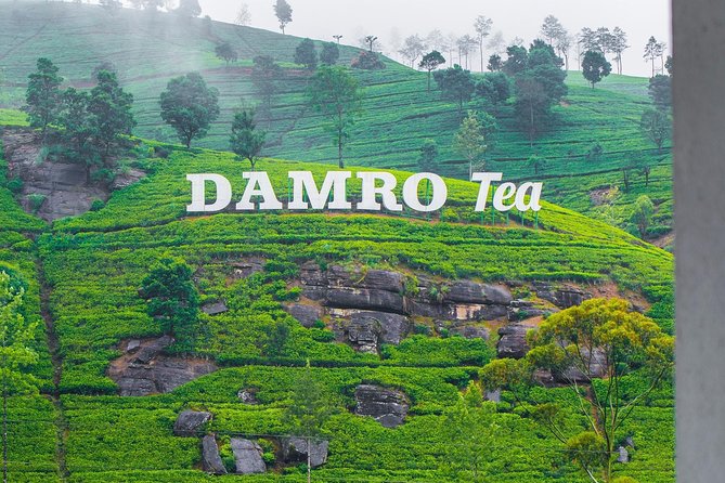 NuwaraEliya Tea Factory,Plantation & Water Falls Hike Tour by Car - Tea Factory Start: why Nuwara Eliya’s tea feels personal