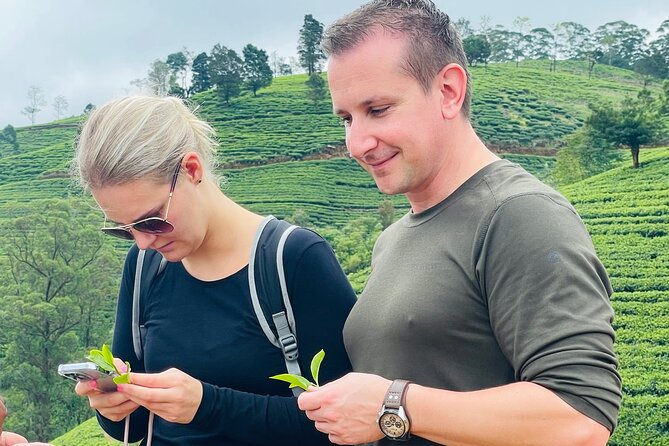 NuwaraEliya Tea Factory,Plantation & Water Falls Hike Tour by Car - What’s included vs. what you should budget for