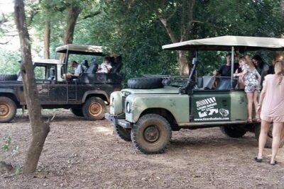 One Day Udawalawe Safari from Galle/Mirissa/Unawatuna/Hikkaduwa - The Early Start: How Pickup and Timing Shape Your Safari Day
