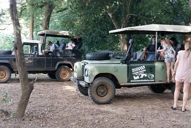 One Day Udawalawe Safari from Galle/Mirissa/Unawatuna/Hikkaduwa - The Early Start: How Pickup and Timing Shape Your Safari Day