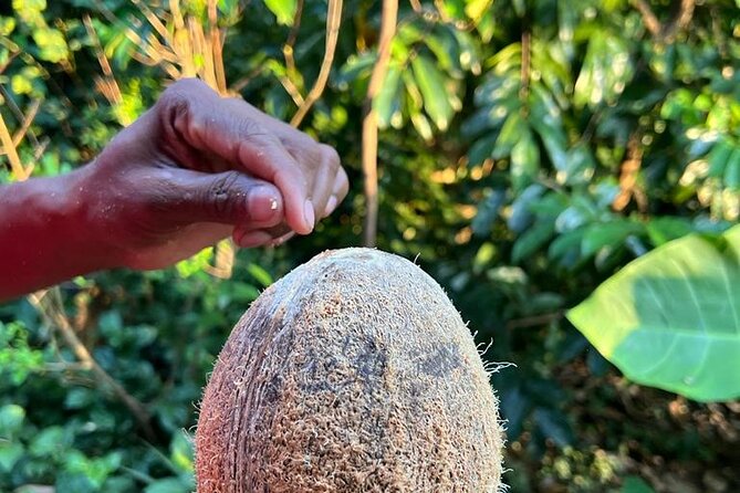 Organic cooking class sigiriya (kumara & family) - Spice prep the traditional way (and why it changes everything)
