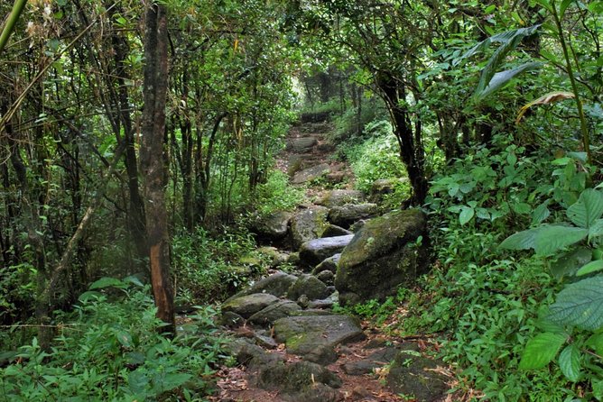 Overnight Adventure Trekking in Knuckles - Key highlights you’ll feel right away