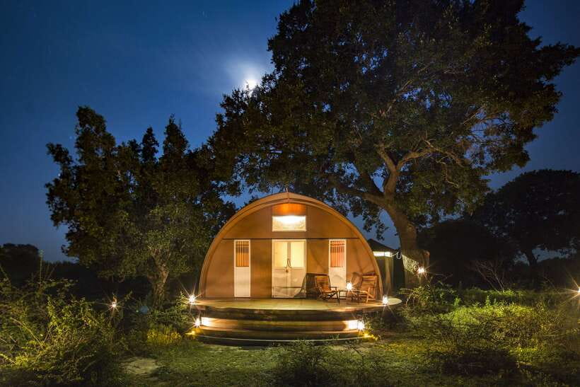 Overnight Treehouse Safari at Yala National Park - Key highlights worth knowing